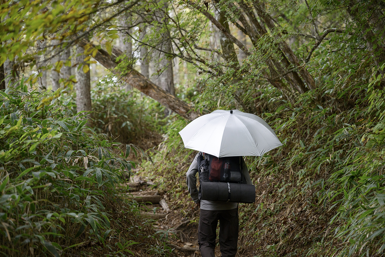 EBYR790_SHADOW Master 60_img_5