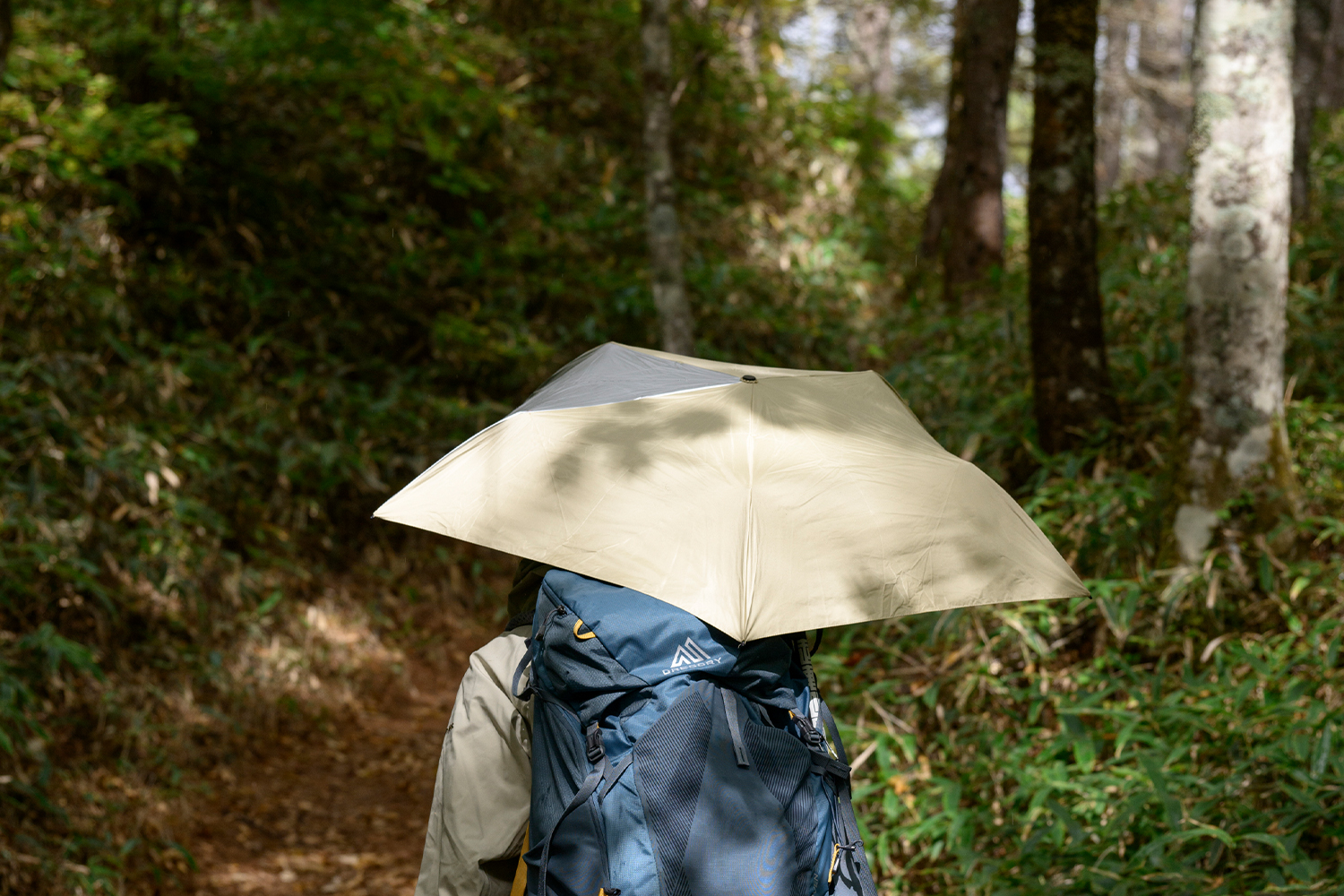 EBYR774_Trail shade_img_8